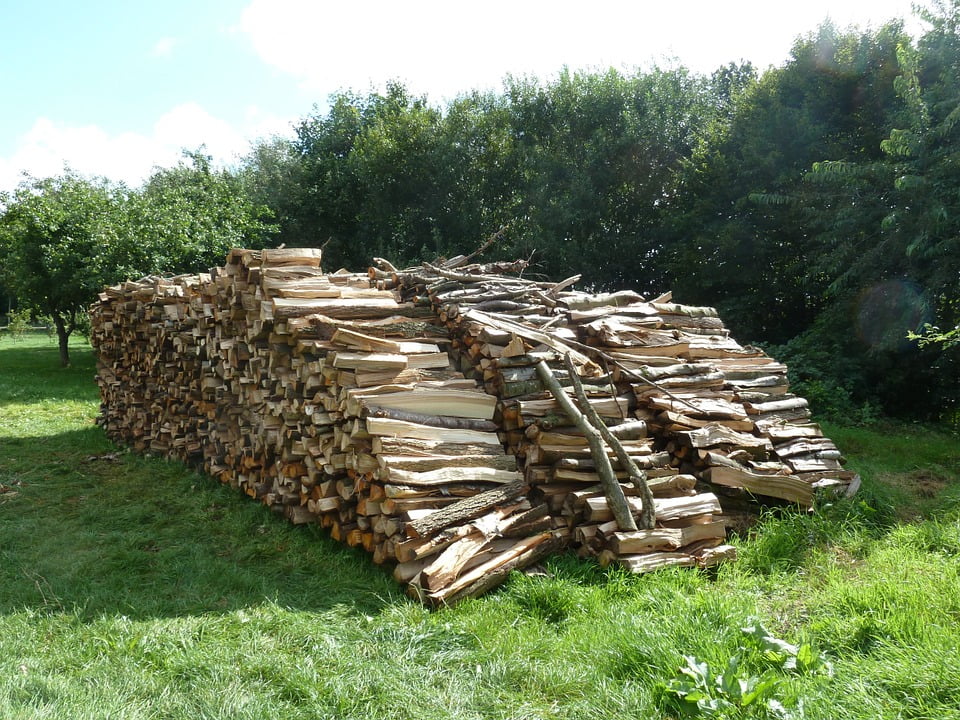 PeelnStick Poster of Firewood Stacked Up Wood Firewood Stack Stack Poster 24x16 Adhesive