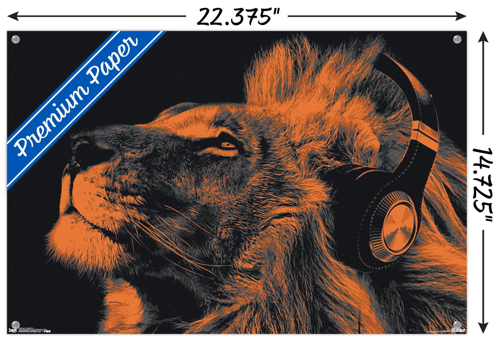 Lion With Headphones Wall Poster with Push Pins, 14.725" x 22.375"