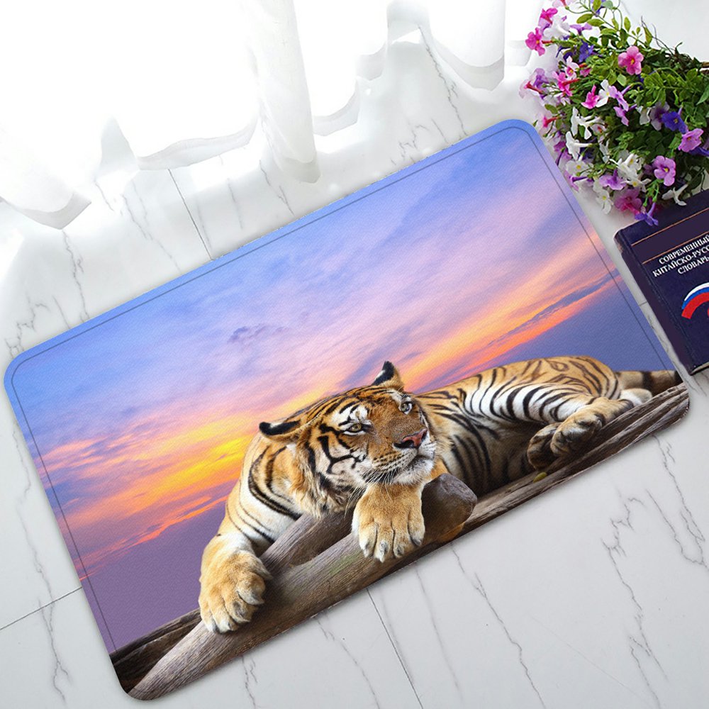 PHFZK Lying Tiger under Beautiful Sky Doormat Outdoors/Indoor Doormat