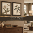 2framed Vintbotanical Wall Art (botany 12x16in Framed) - Walmart.com
