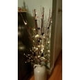 thumbnail image 3 of Natural Willow Twig Lighted Branch for Home Decoration, 36'', USB Plug-in and Battery Powered, 3 of 6