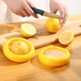 thumbnail image 4 of Fruit Vegetable Shaped Savers Storage For Fridge, Avocado Saver Onion Holder Tomato Storage Lemon Keeper Containers, 4 of 5