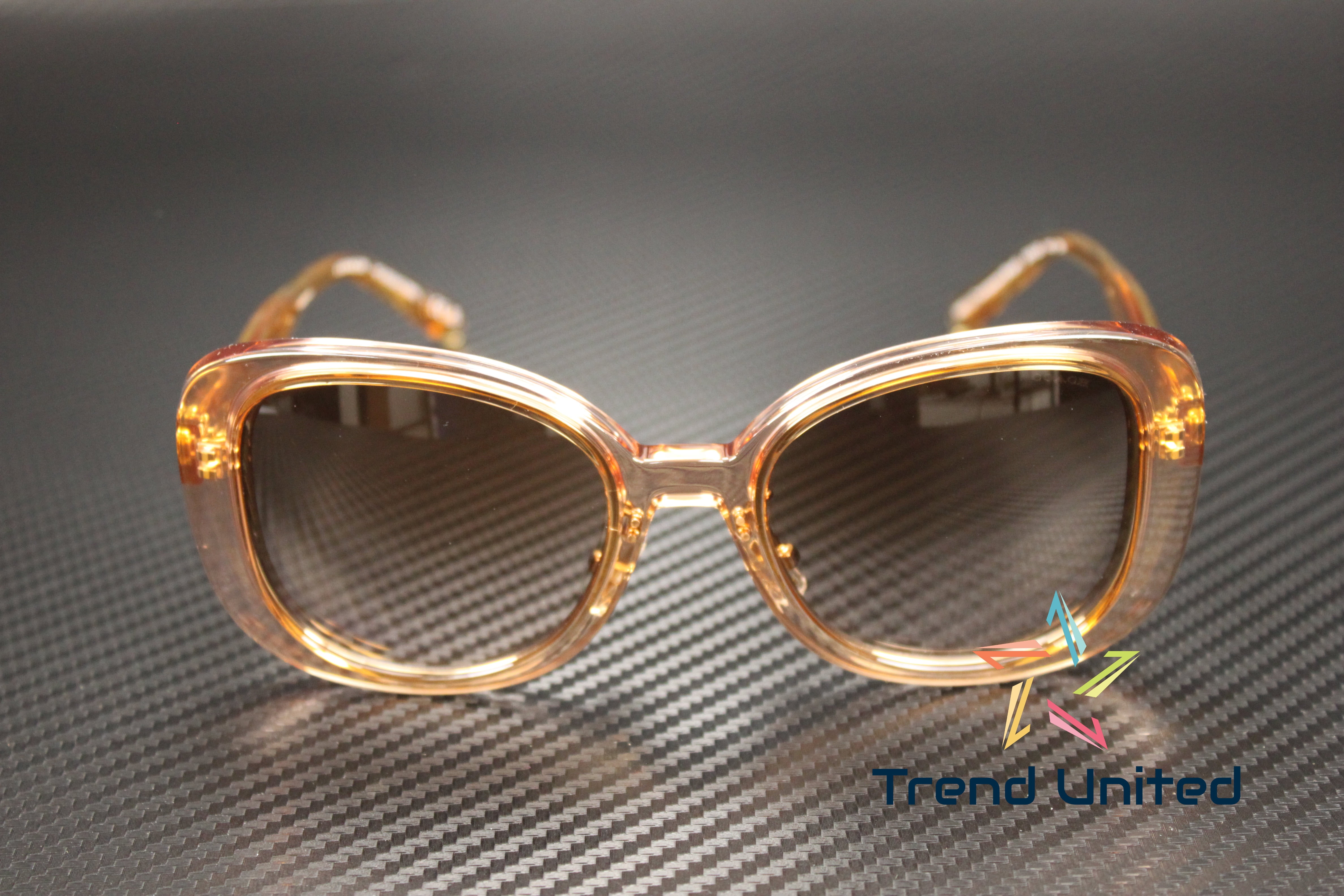 COACH HC8333 568013 C7995 Transparent Blush Brown Pink Grad  display picture 2