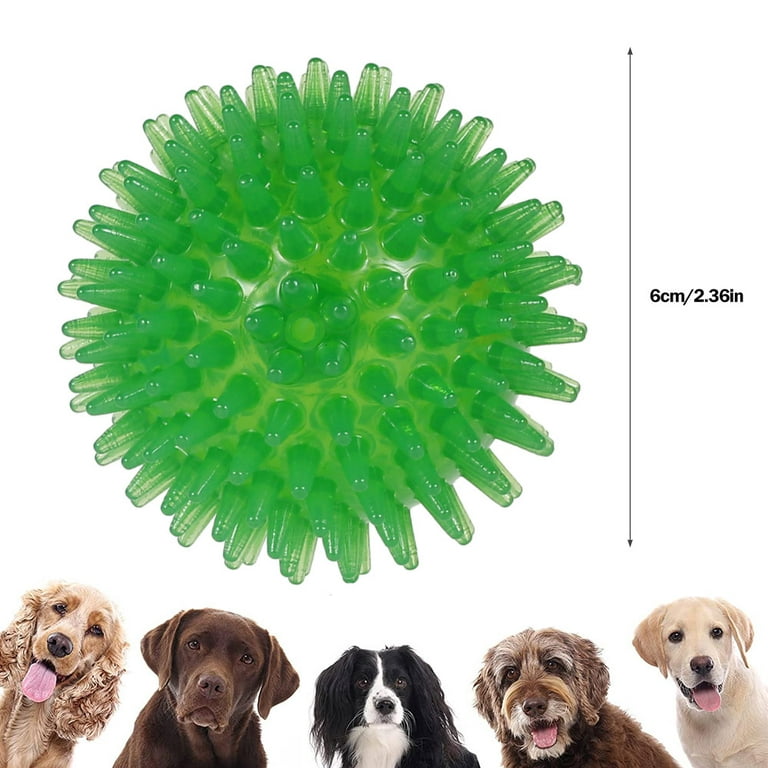 Pet Supplies : balacoo 6 Pcs Rubber Tearribles Pull Apart Dog Toy Squeaky  Balls for Small Dogs Bacon Scented Dog Ball Bark Ball Interactive Puppy Toy  Pet Toys Toy for Dog Bite