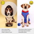 thumbnail image 4 of Dog Surgical Recovery Suit Abdominal Wound Protector, ,E-Collar Alternative for Dogs, Home Indoor Clothing, 4 of 7