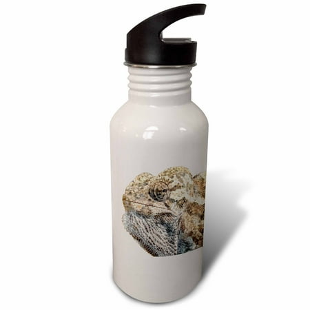 

3dRose Chameleon With Sinister Facial Expression Isolated Sports Water Bottle 21oz