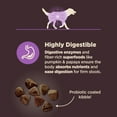 thumbnail image 5 of Wellness CORE Digestive Health Senior Dry Dog Food, Wholesome Grains, Natural, High Quality Ingredients for Dogs with Sensitive Stomachs, Age Advantage Chicken & Brown Rice Recipe, (24-Pound Bag), 5 of 10