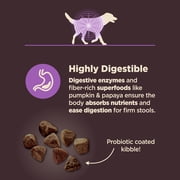 Wellness CORE Digestive Health Age Advantage Senior Dry Dog Food, Wholesome Grain Kibble, Sensitive Stomach, Natural, High Protein, Chicken and Brown Rice Recipe, 24 lb Bag
