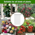 thumbnail image 2 of Lishi 2pcs 100*150cm White Plant Barrier Netting Mesh - Bird and Pest Control Net for Vegetables and Fruits, 2 of 5