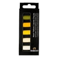 thumbnail image 1 of Rembrandt Ensemble Micro Pastel Doux, 5 Pcs Demi-Bâtons, Jaunes Chauds, 1 of 1