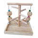 thumbnail image 5 of Soporte de jaula de pájaros de madera, gimnasio para pájaros, , para pájaros, jaula, accesorios, pinzones, soporte de, 5 of 9