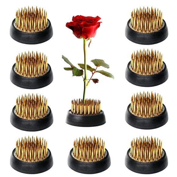 10 Uds Kenzan 34mm/1,34 pulgadas de diámetro Floral Pin Rana Ikebana soporte para arreglos florales