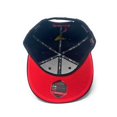 thumbnail image 5 of The Doctor Bird - Jamaica - The Cap Guys TCG / Inspired Exclusives Rasta Edition Snapback Cap, 5 of 5