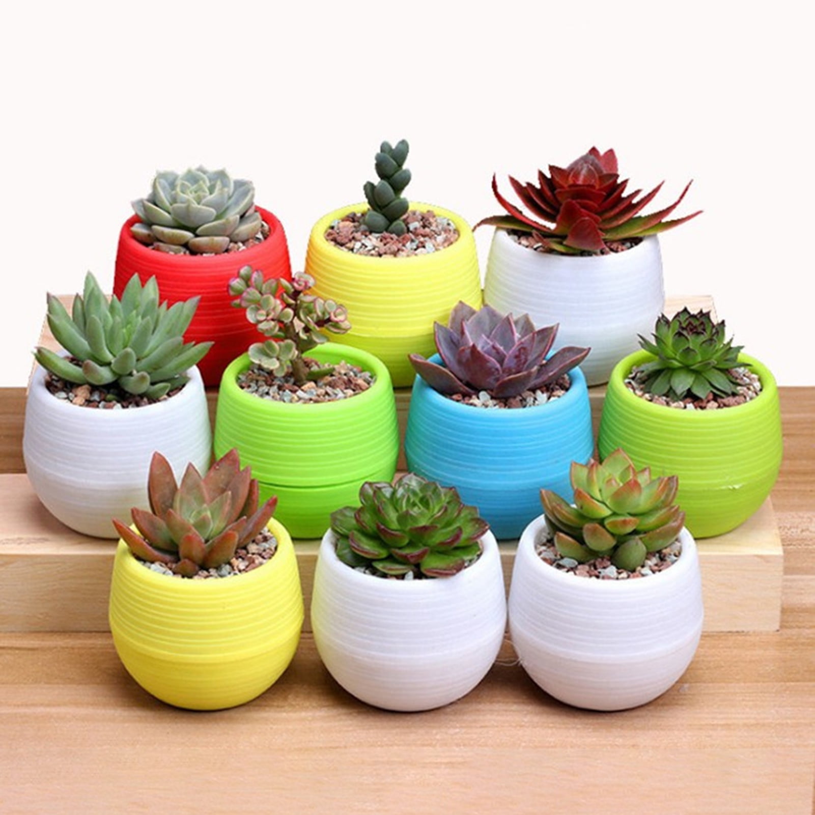 Mini Round Succulent Planter Pot Bonsai Cactus Flower Pot Plant Box Garden Home 