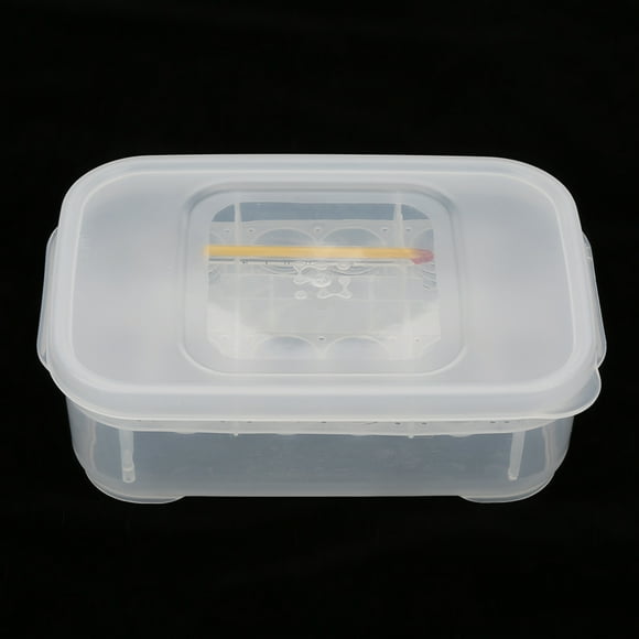 DeWin 12 grilles Serpents Gecko lézards Reptiles Oeufs incubateur, hacher boîte avec thermomètre pour Incubation