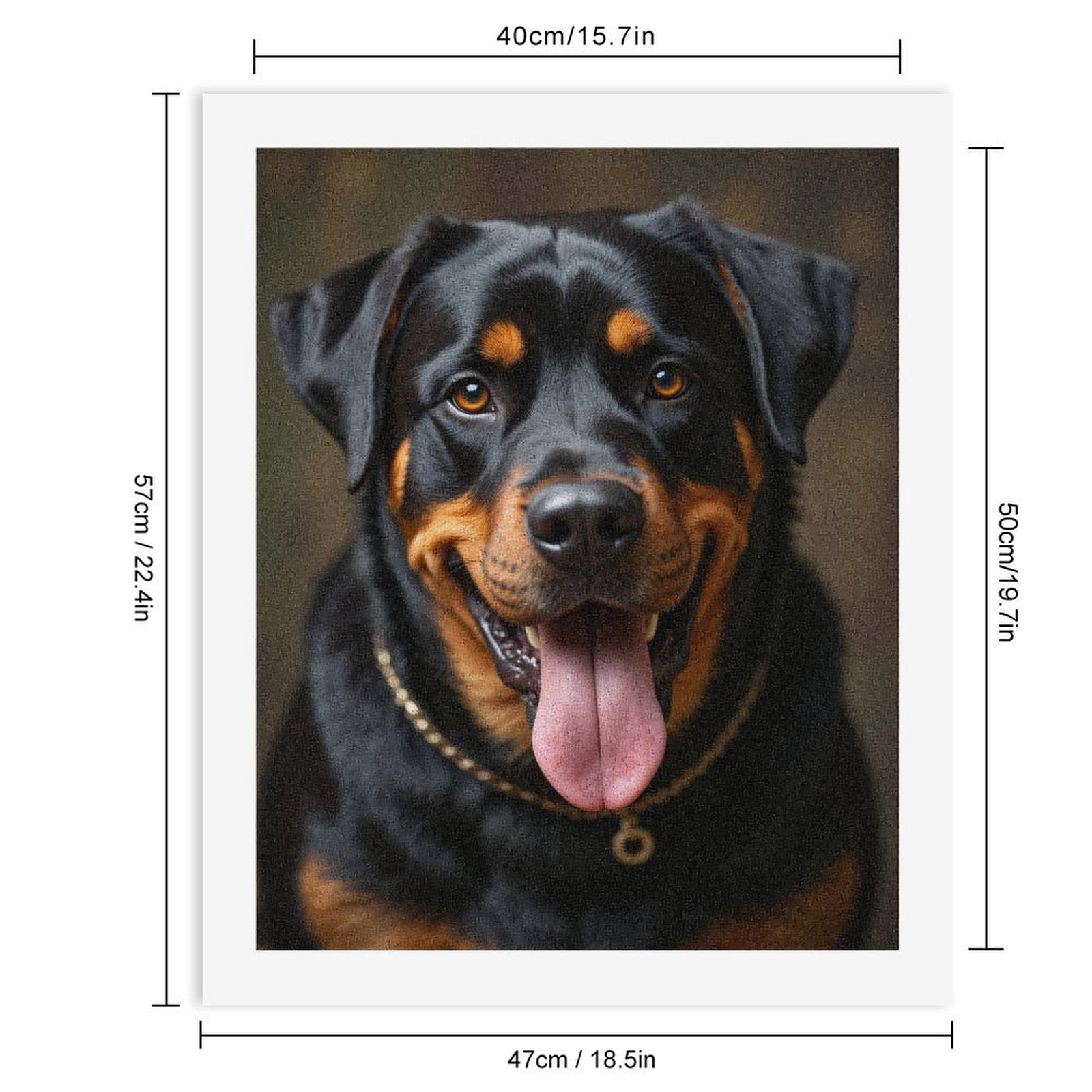 Paint by Numbers Kit for Adults, Happy Rottweiler Portrait Calm Paint by Numbers, Easy Paint by Numbers Kit for Adults Beginner, DIY Adult Paint by Number Kits on Canvas, Home Decor