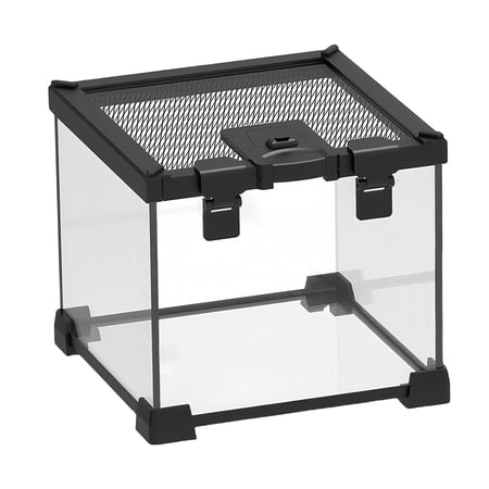 Reptile Glass Terrarium Mini Habitat Cage 360 View Small Amphibians Tank for Geckos Bearded Dragons