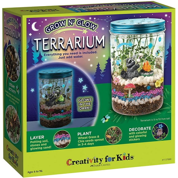 Grow & Glow Terrarium