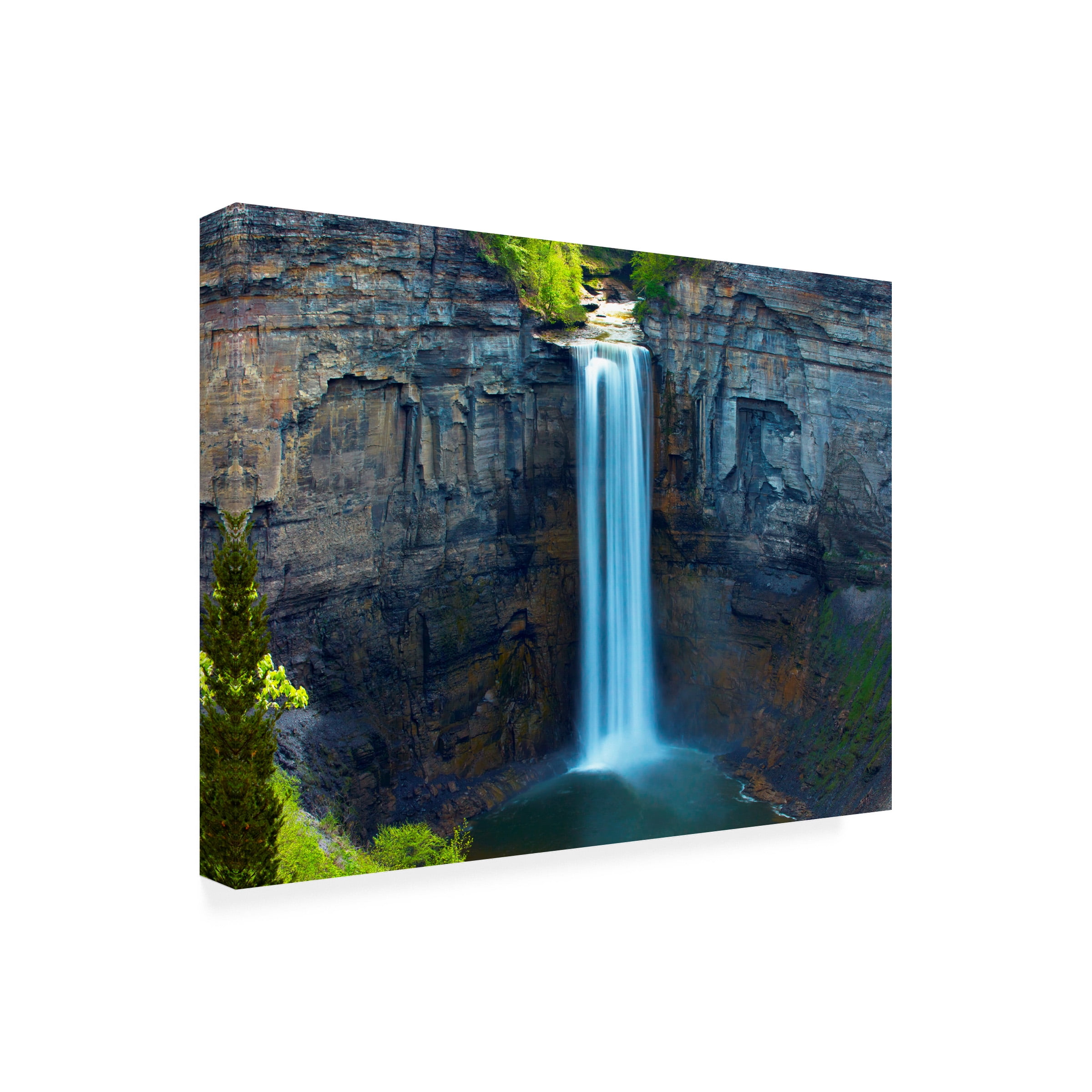 James McLoughlin 'Waterfall Portrait I' Canvas Art