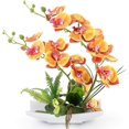 thumbnail image 1 of Orange Dcoratif Real Touch Faux Orchide Bonsa Fleurs Artificielles Avec Imitation Porcelaine Pots De Fleurs Phalaenopsis Fleurs Arrangements Pour, 1 of 5