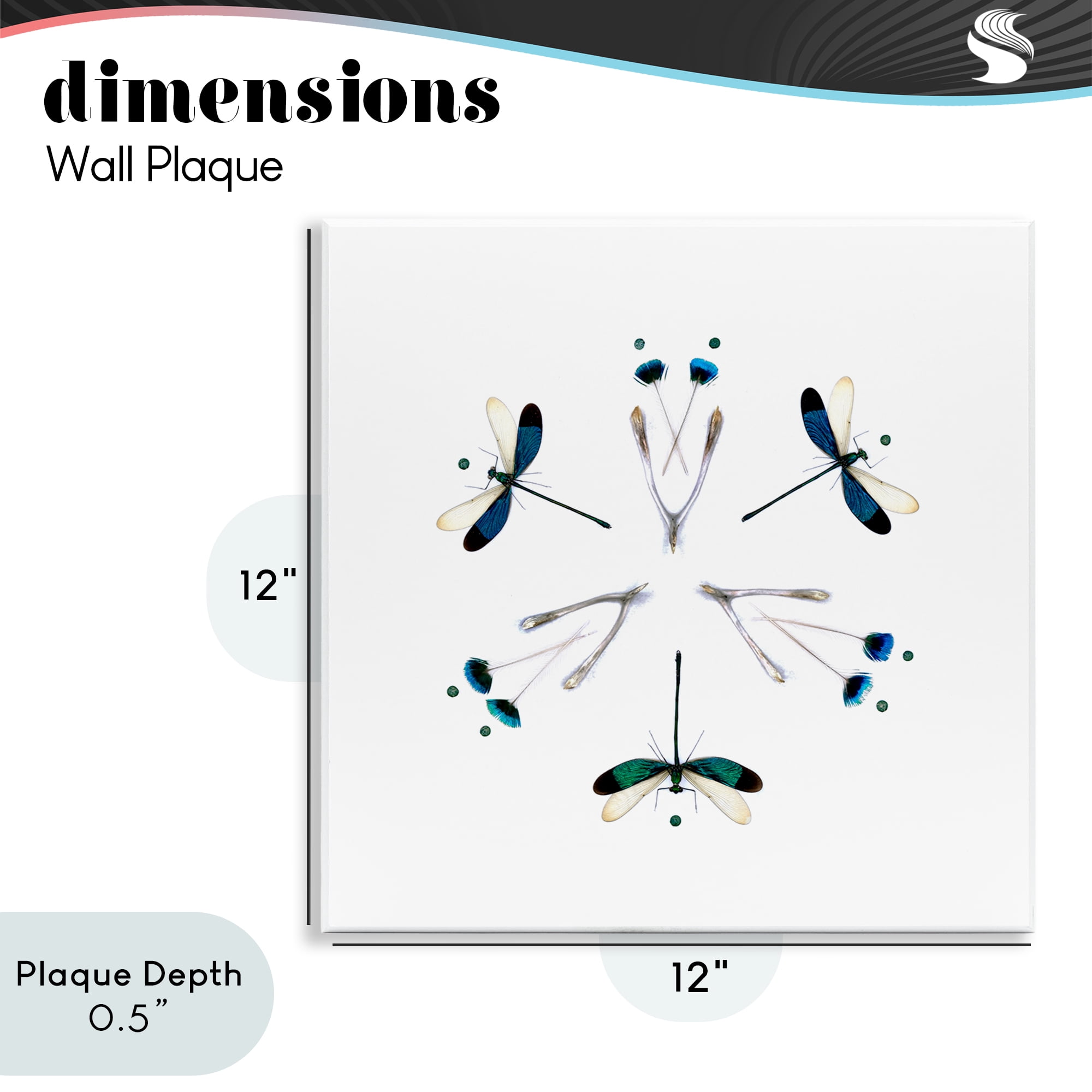 Stupell Industries Simple Dragonfly Symmetry Wall Plaque Art, design by Beth Adoette