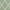 Sage, variant on Curtainking Linen Curtains Moroccan Tile Print Drapes 108 inch Light Filtering Farmhouse Window Curtain for Living Room Bedroom Grommet 2 Panels Sage