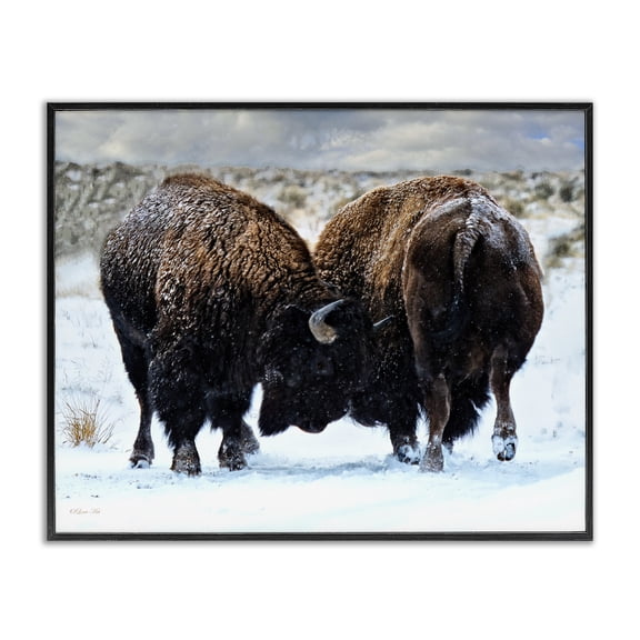 Stupell Industries Farmhouse Fighting Bison Snow Scene Black Framed Giclee Art, 14 x 11, by Lena Owens