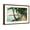 Brown Frame, variant on Art.com Palm Beach, Florida - View of the Walk Along Lake Worth Art Print by Lantern Press, White Frame Wall Art, 29" x 21"