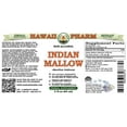 thumbnail image 2 of Indian Mallow (Abutilon Indicum) Dry Seed ALCOHOL-FREE Liquid Extract. Expertly Extracted by Trusted HawaiiPharm Brand. Absolutely Natural. Proudly made in USA. Glycerite 2 Fl.Oz, 2 of 3