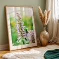 thumbnail image 6 of Bee on Flower 01 - Manhattan New York Photography Nature Floral Insect Wildlife Botanical Garden Summer Unframed Wall Art Print 32 x 48 inches, 6 of 60