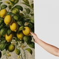 thumbnail image 3 of Awypu Lemon Summer Fruit Waterproof Shower Curtain for Bathroom Decoration White, 3 of 7