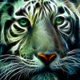 thumbnail image 1 of 5D DIY Diamond Painting Kits Full Round Drill Animal Rhinestone Art Crafts Home Tmvgtek decoración de arte en el hogar, 1 of 9