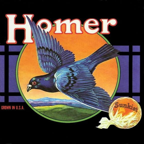 Homer - Grown In U.S.A. - Music & Performance - CD