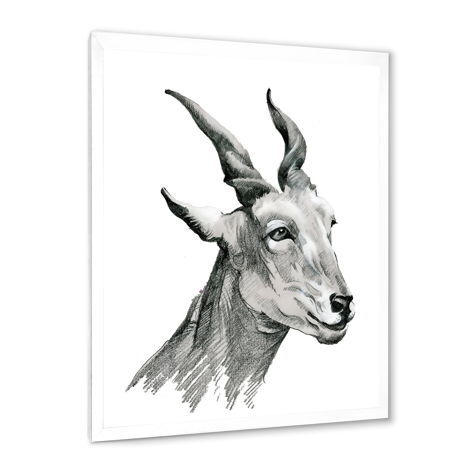 Designart 'Black and White Portrait Of Goat I' Farmhouse Framed Art Print