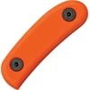 Razolution Straight Razor