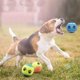 thumbnail image 3 of Juego de 3 pelotas de tenis de goma para perros, para jugar y entrenar (Color aleatorio), 3 of 5