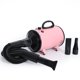 thumbnail image 2 of Methold CN Plug Pets Grooming Secador de pelo Reducción de ruido Fuerte potencia Secado rápido 2 engranajes Dispositivo de soplador de calor ajustable Suministros para perros Rosado Methold PT003874-04, 2 of 6