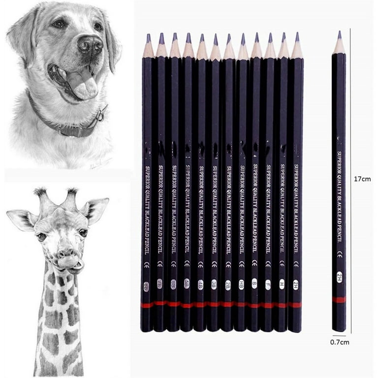 36x Graphite Pencils Sketch Pencil Set Drawing Shading Pencils For Painting  WPD