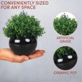 thumbnail image 3 of Mini artificial plants | Modern farmhouse plant Home decor | Small artificial plants, 3 of 5