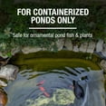 thumbnail image 4 of Tetra Pond Water Clear Clarifier, Safe for Ornamental Pond Fish and Plants, 8 oz, 4 of 8