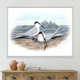thumbnail image 2 of Designart 'Ancient Birds In The Wild IX' Traditional Framed Canvas Wall Art Print, 2 of 5