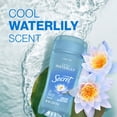 thumbnail image 5 of Secret Clear Gel Antiperspirant and Deodorant for Women, Waterlily Scent, 2.6 oz, 5 of 10