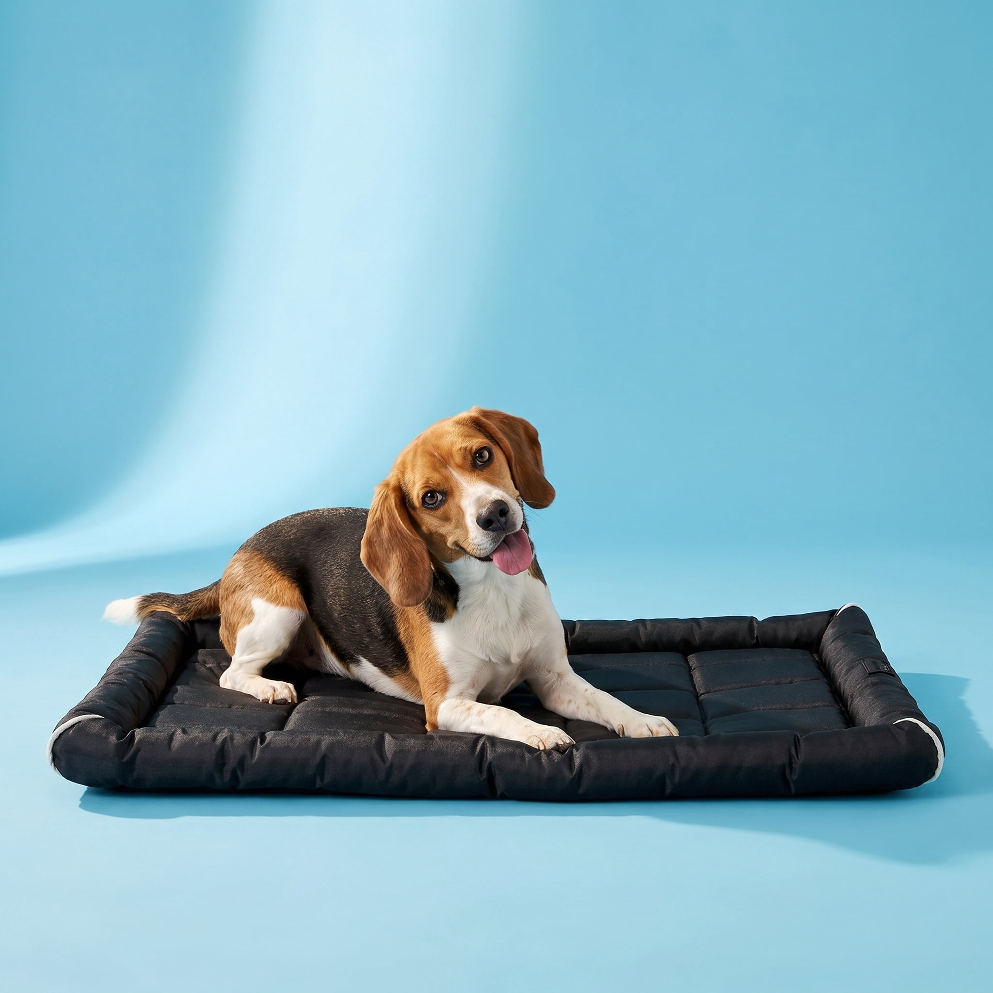 Vibrant Life Medium/Large Durable and Water-Resistant Crate Mat