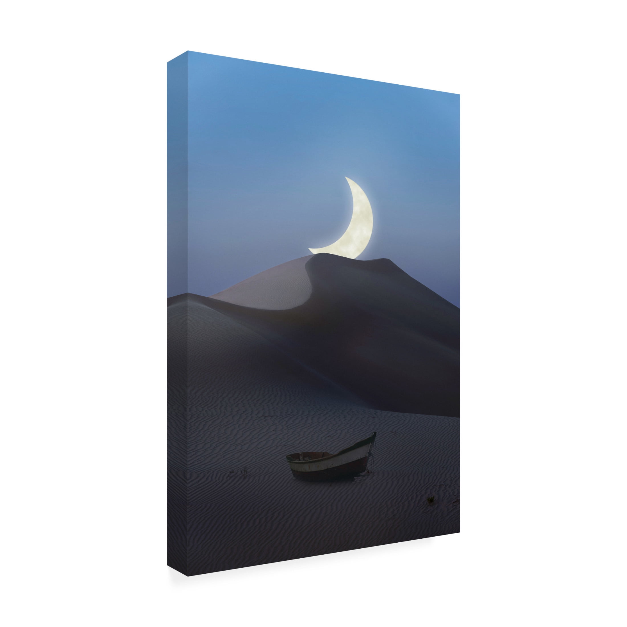 Trademark Fine Art Chen Quansheng This used to be an ocean Canvas Wall Art