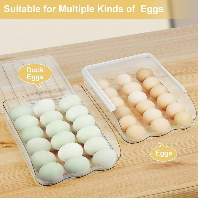 2 Layer Deviled Egg Containers With Lid, 36 Slots Deviled Egg Tray Carrier Wi
