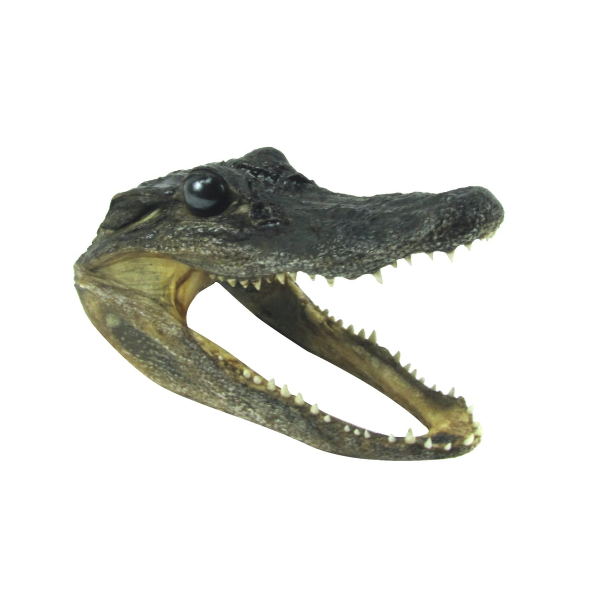 25 Count Gator Skull Rearview Mirror Hanging Ornament by Skullz for sale online 