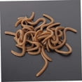 thumbnail image 3 of Fake Earthworm Soft Lures Lifelike Artificial Fishing Baits Silicone Earthworm Set1boxbrown, 3 of 5