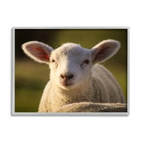 Stupell Industries Gazing Farm Sheep Photograph Photograph Gray Framed Art Print Wall Art, Design by Daphne Polselli
