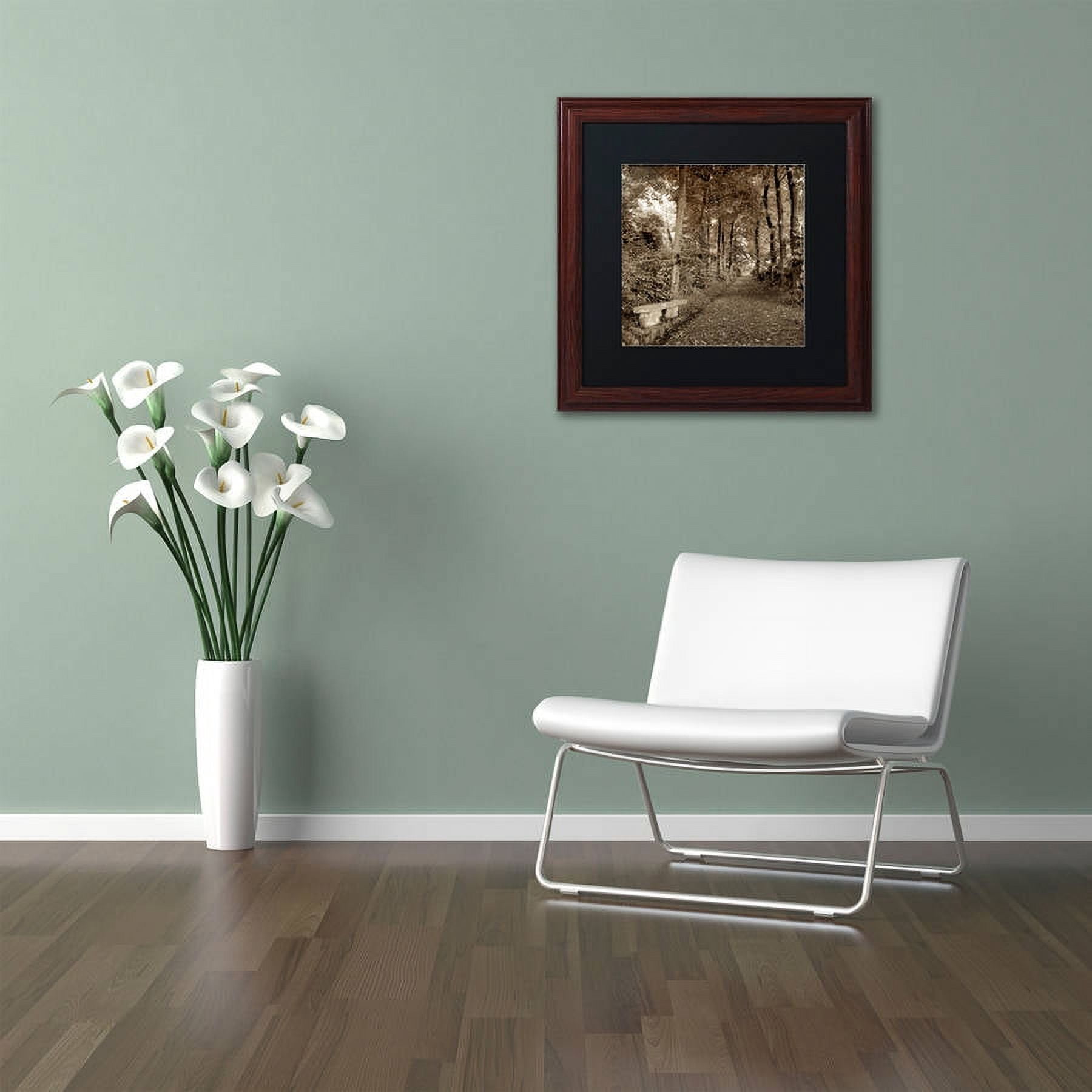 Trademark Fine Art "Fiesole Giardini II" Canvas Art by Alan Blaustein, Black Matte, Wood Frame