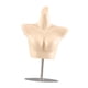 thumbnail image 1 of Maniquí femenino Torso Bra Maniquí Maniquí resistente Lencería independiente Soporte de piel plateada, 1 of 8